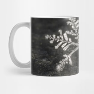 Freshly Fallen Snow Flake. Macro Photography Mug